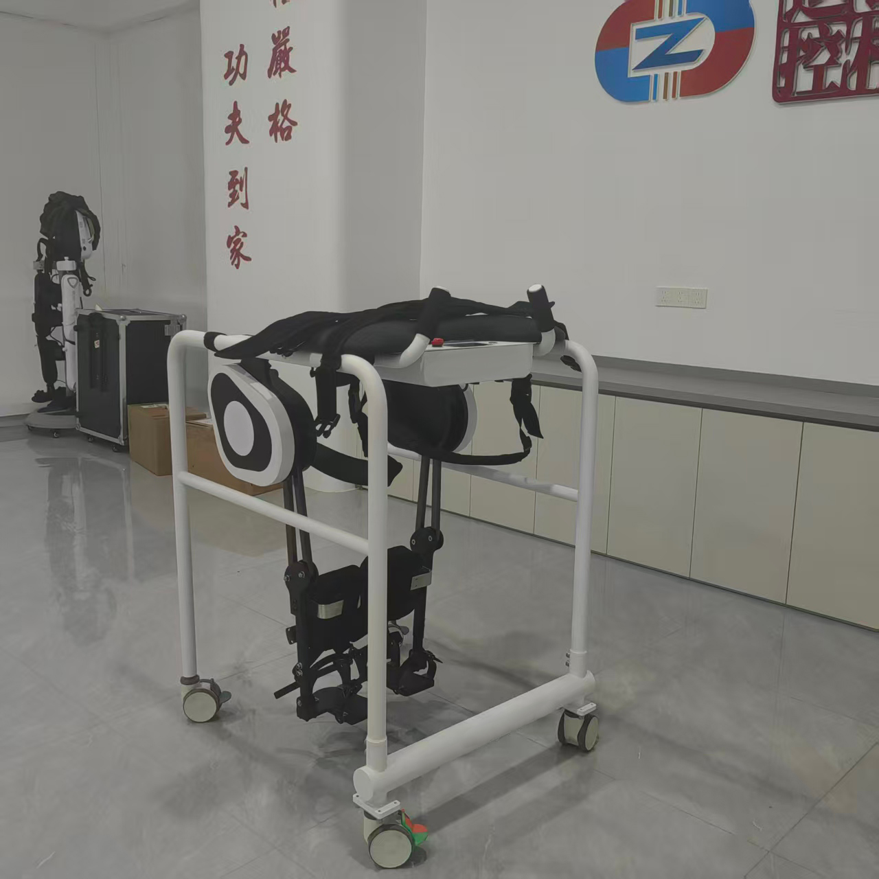 Lower Limb Exoskeleton Robot